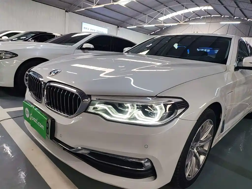BMW 5 Series New Energy 2019 530Le Luxury Package фото 24