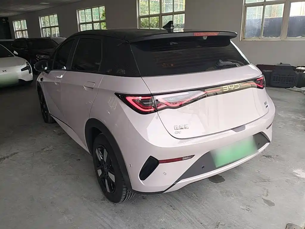 BYD Dolphin 2025 2025 Smart Drive Edition 410km Fashion Version