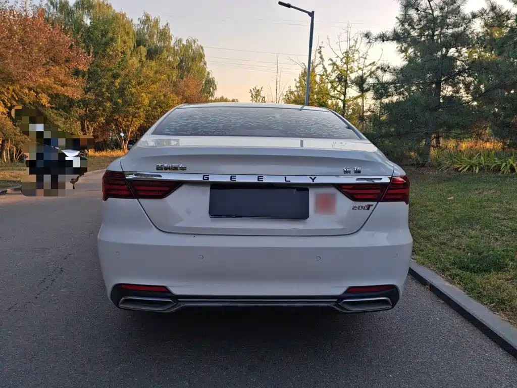 Фото 7 - Geely Binrui