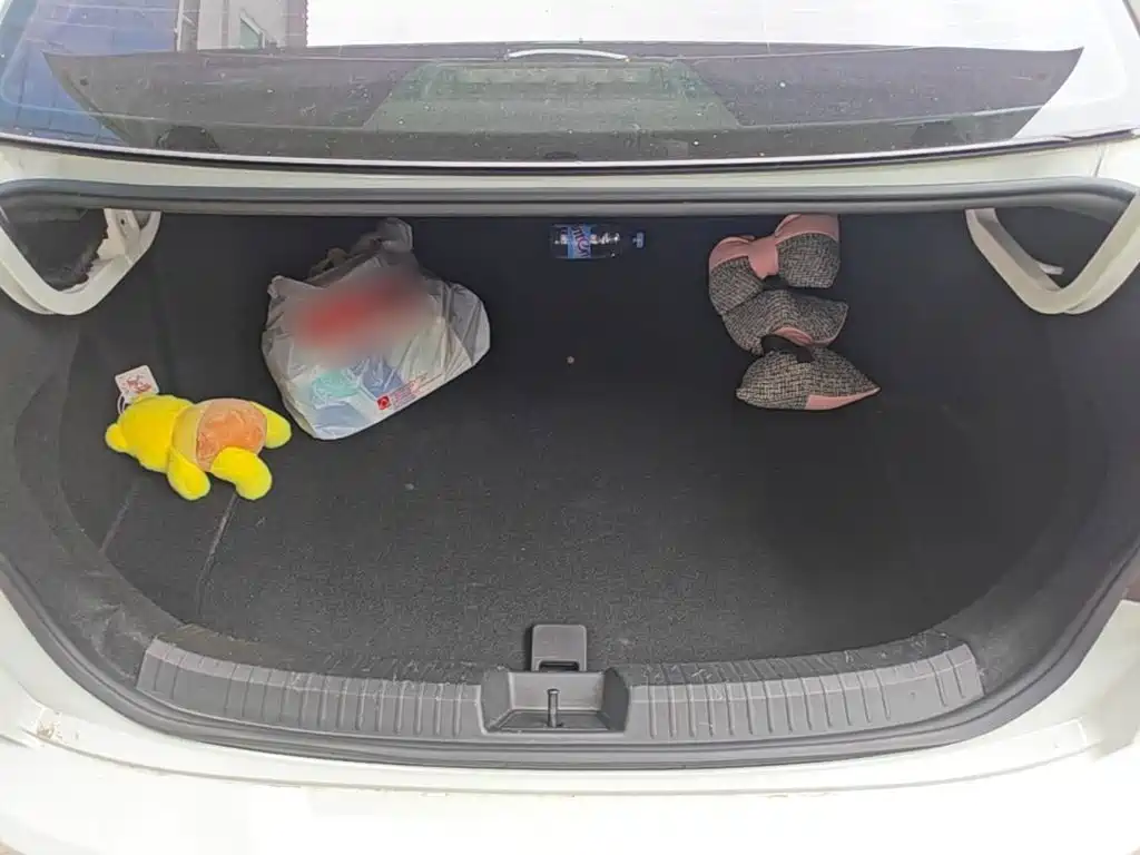 Volkswagen Sagitar, миниатюра 19