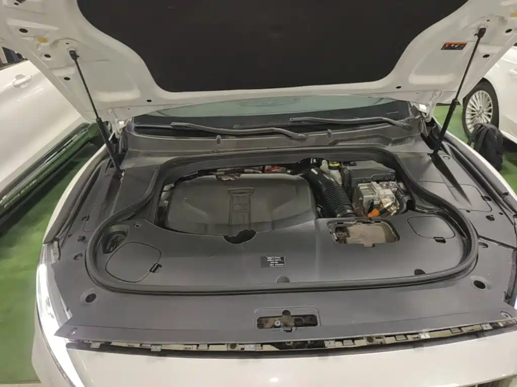 Geely Borui PHEV 2021 2021 1.5T ePro Leading Edition