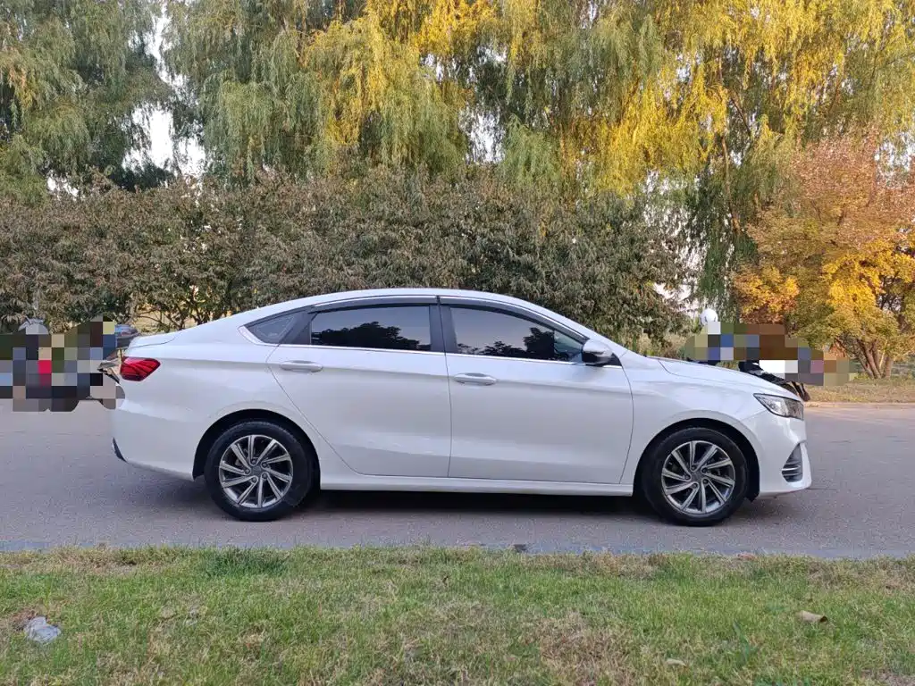Фото 5 - Geely Binrui