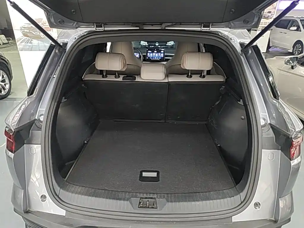 BYD Song Pro New Energy 2025 2024 Glory Edition DM-i 110KM Surpassing