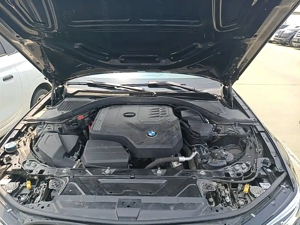 BMW 3 Series 2021 Facelift 320Li M Sport Package фото 20