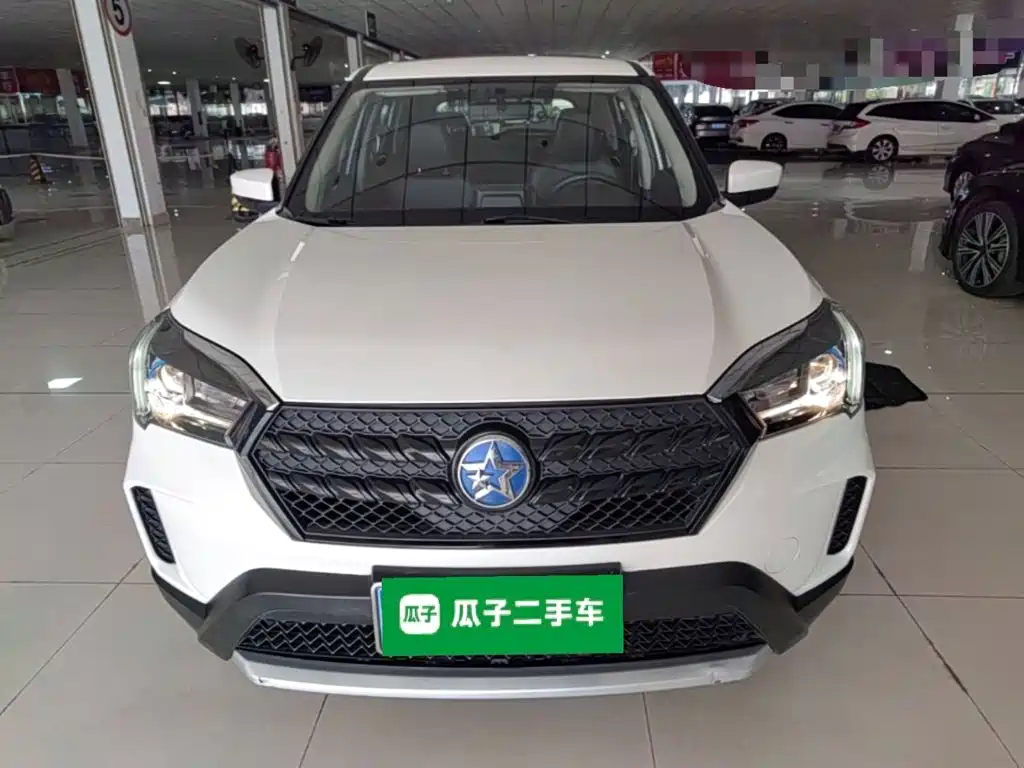 2021 Venucia T60