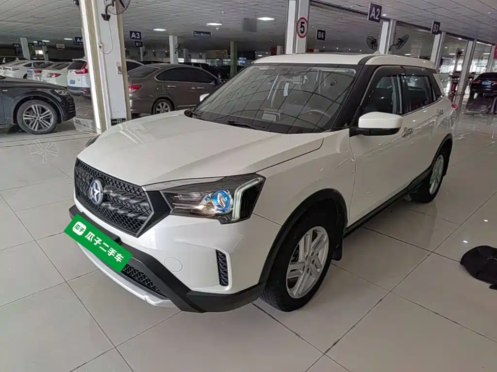 2021 Venucia T60