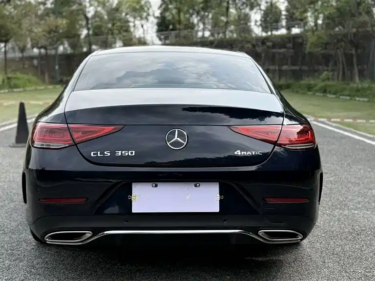 Mercedes-Benz CLS 2021 CLS 300 Sport фото 10