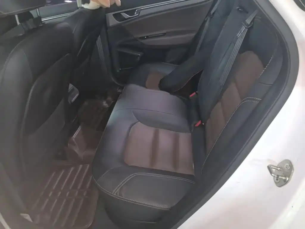 صورة 17 - Geely Emgrand GS