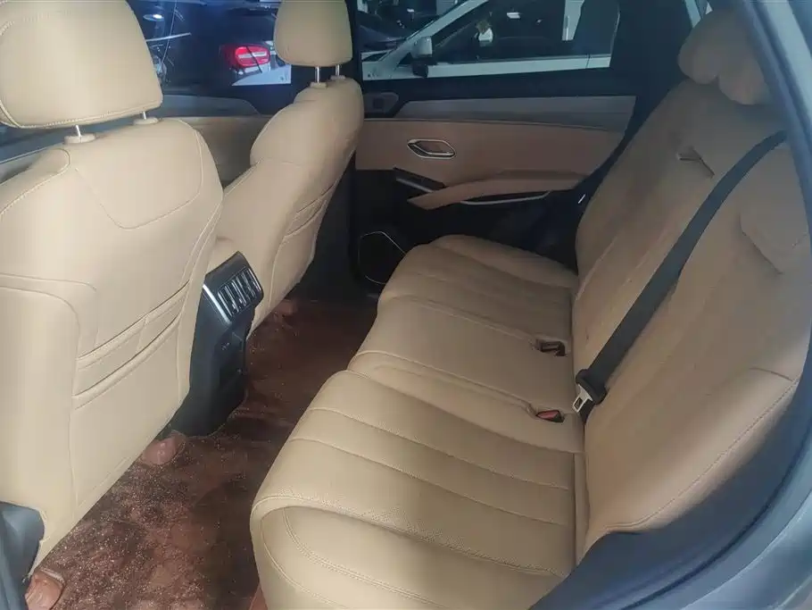 BYD Song L DM-i 2024 112km Leading Edition фото 11