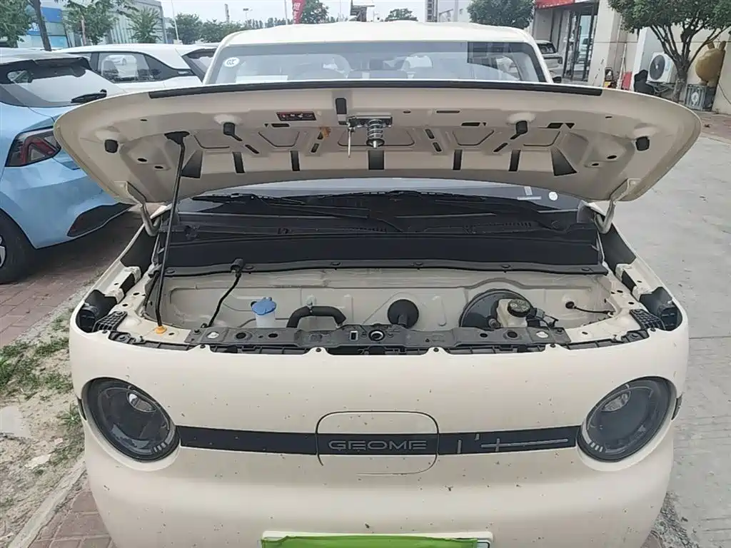 Geely Galaxy Panda 2025 Panda mini 210km Vitality Bear фото 20