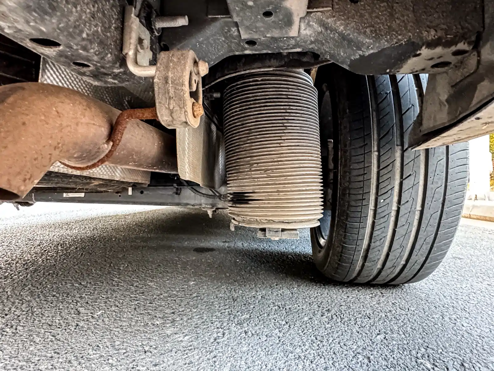 صورة 38 - Kedi Auto Kedidia