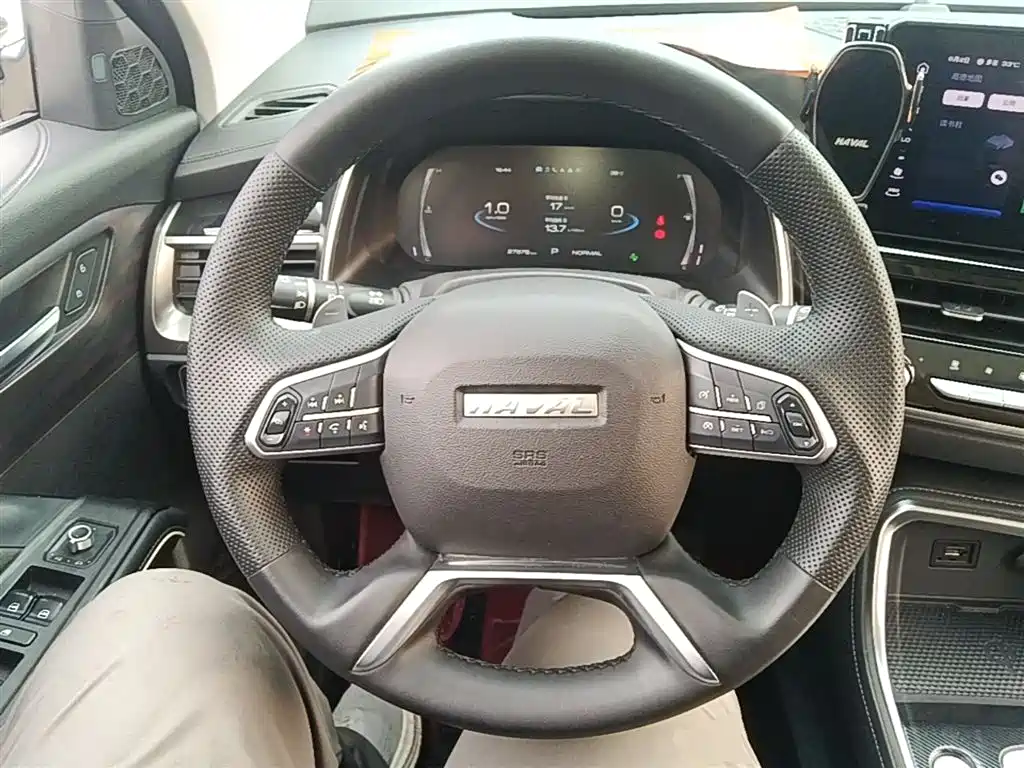 Haval H6 2021 National Trend Edition 1.5GDIT Automatic Luxury Edition фото 11