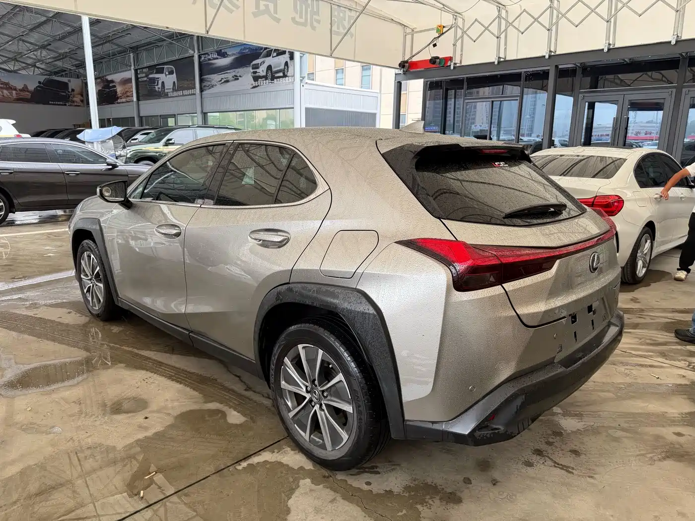 Lexus UX Electric 2021 2020 300e Pure Yue Edition