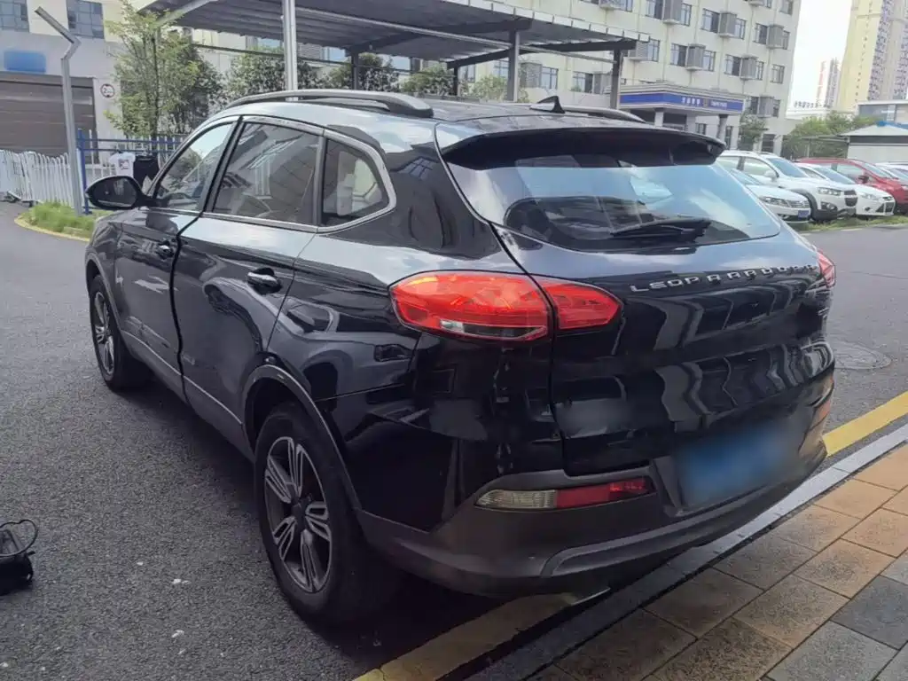 2019 Leopaard CS10