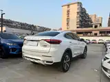 Фото 11 - Haval F7x