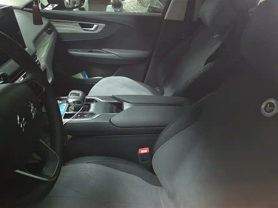 Hongqi E-QM5 2024 Model 610km PLUS фото 9