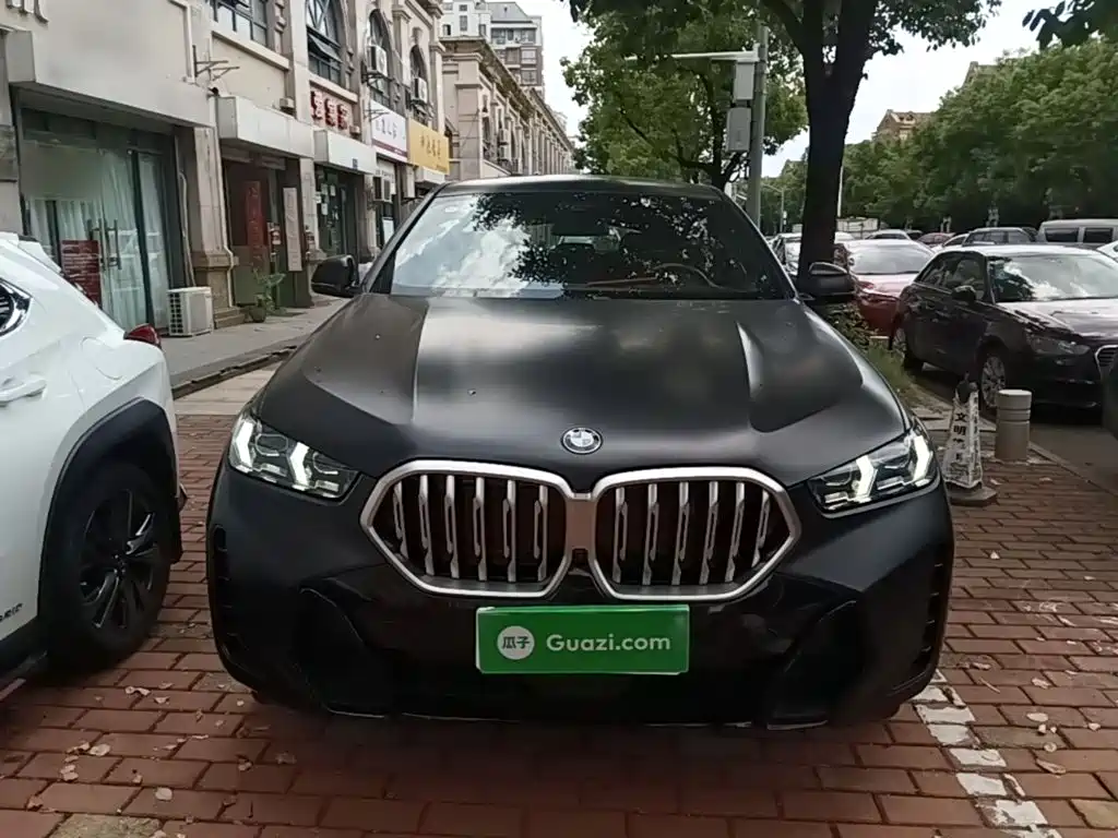 2025 BMW X6