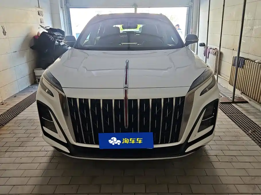 صورة 2 - Hongqi HS3