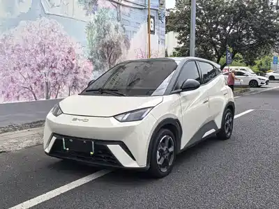 BYD Seagull