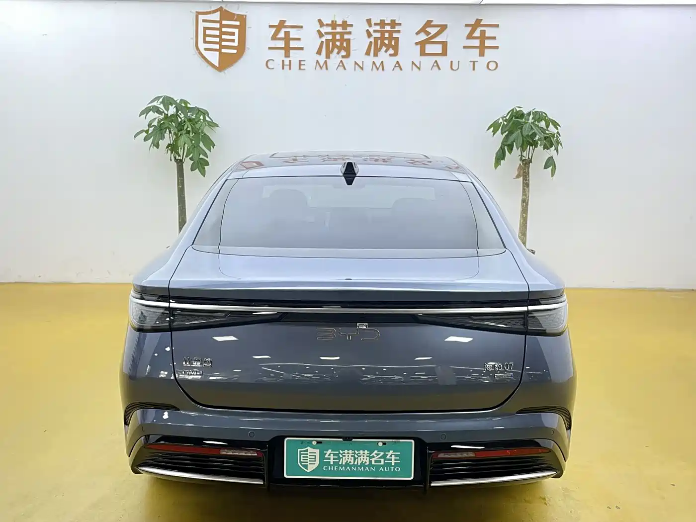 BYD Seal 07 DM-i 2025 Smart Drive Edition DM-i 1.5L 125km Premium фото 10