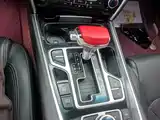 Photo 10 - Geely Borui