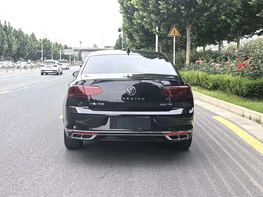Volkswagen Magotan 2024 2 Million Units Public Sharing Edition 330TSI DSG Luxury фото 8