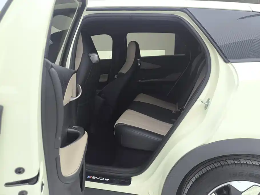 BYD Dolphin 2025 2025 420km Freedom Edition