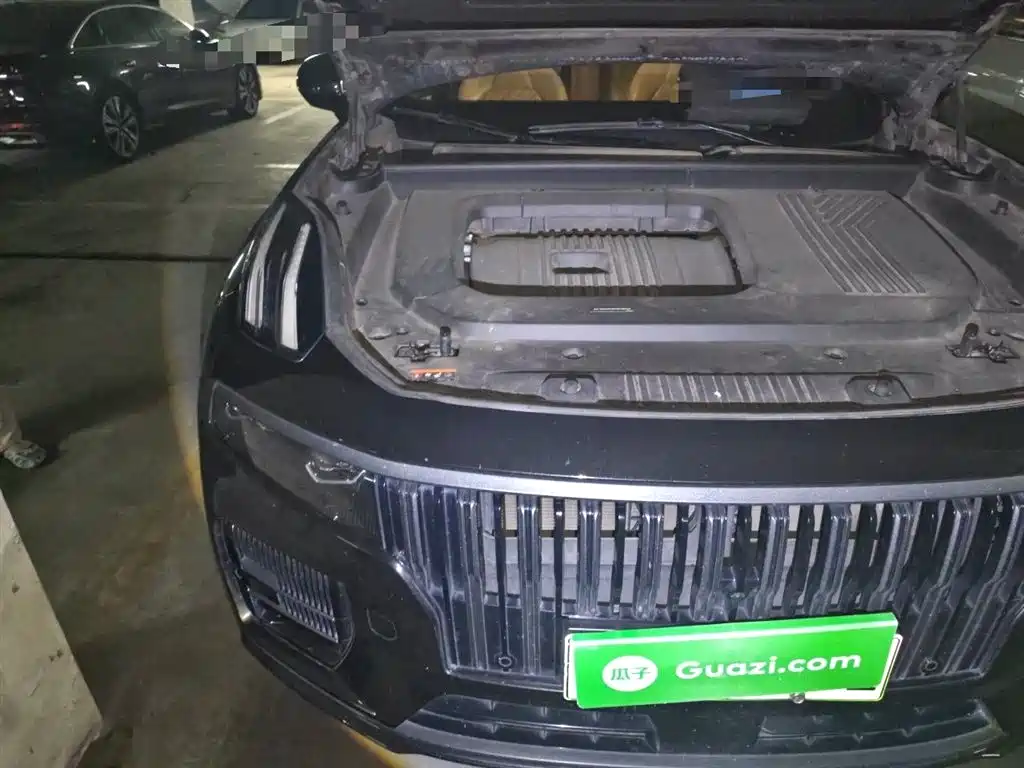 Lynk & Co 09 EM-P 2021 2.0T PHEV Halo 6-seater фото 20