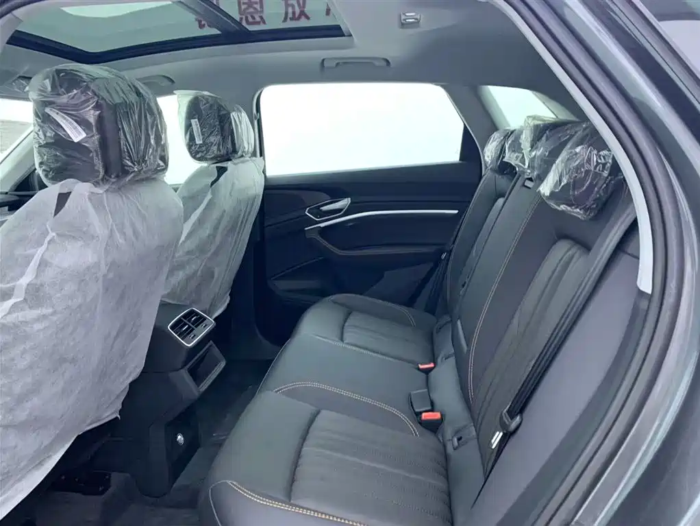 Audi e-tron 2021 50 quattro Luxury фото 12