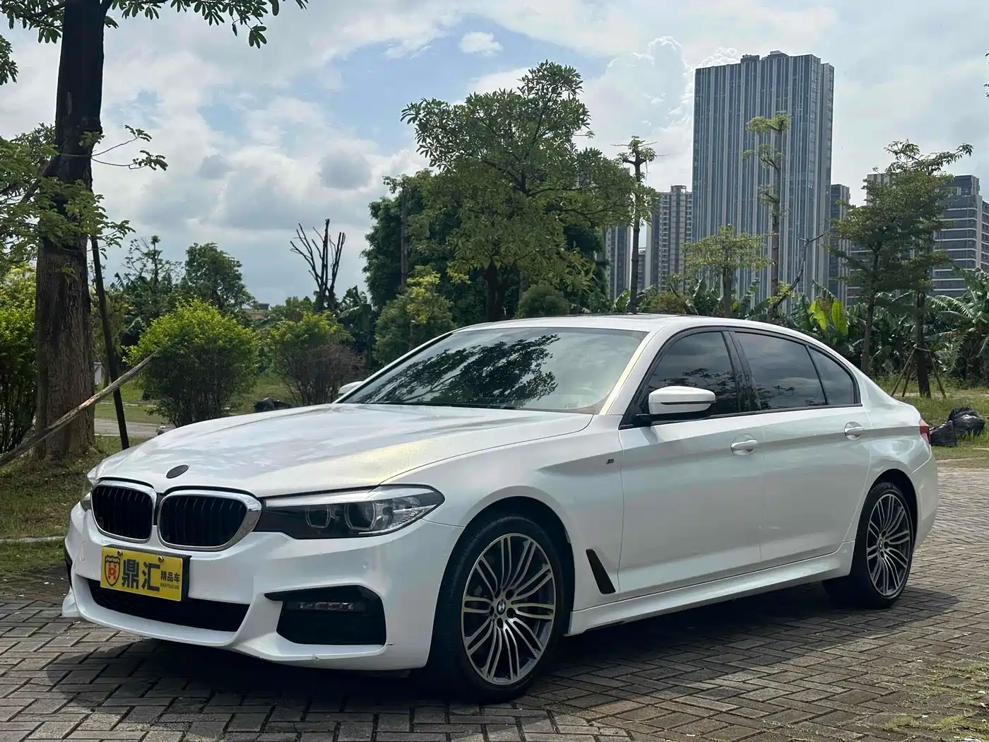 BMW 5 Series 2019 530Li Leading M Sport Package