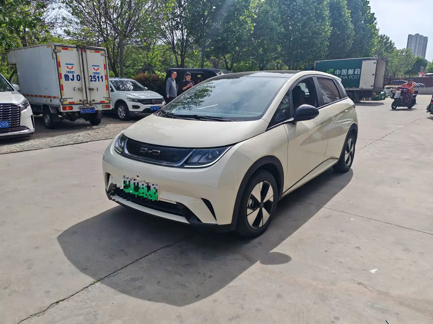 BYD Dolphin 2023 420km Freedom Edition