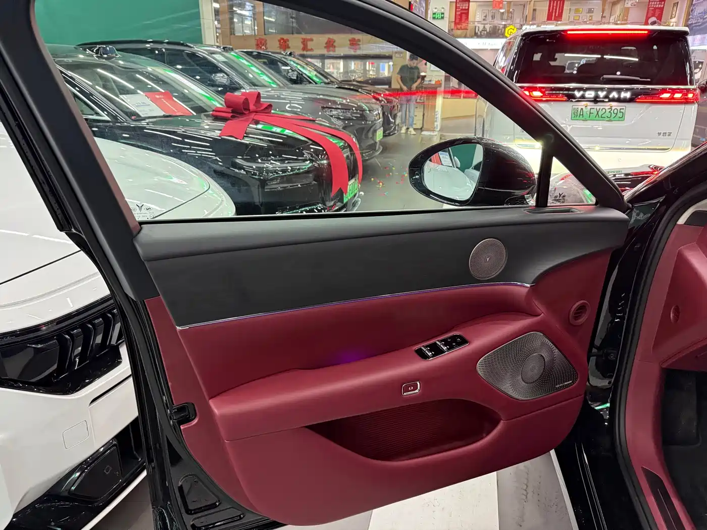 Voyah Auto VOYAH Zhuiguang L 2025 2025 Mid-configuration Model