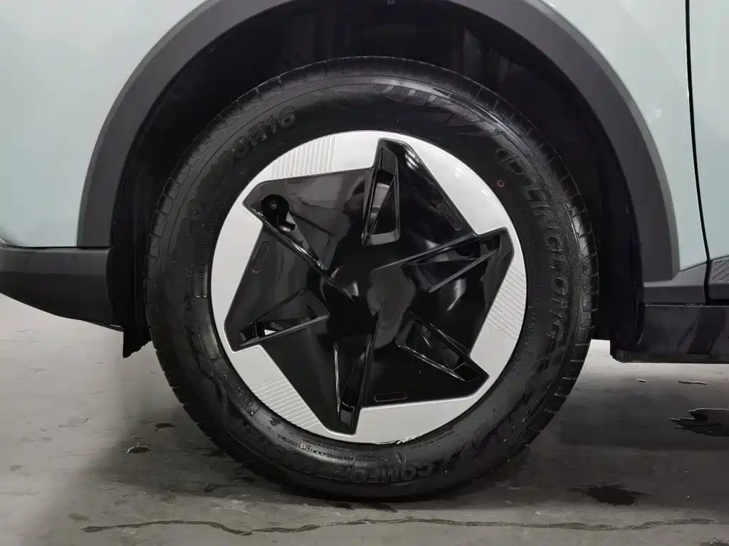 Geely Geometry E Firefly 2023 2024 Model 301km Starlight