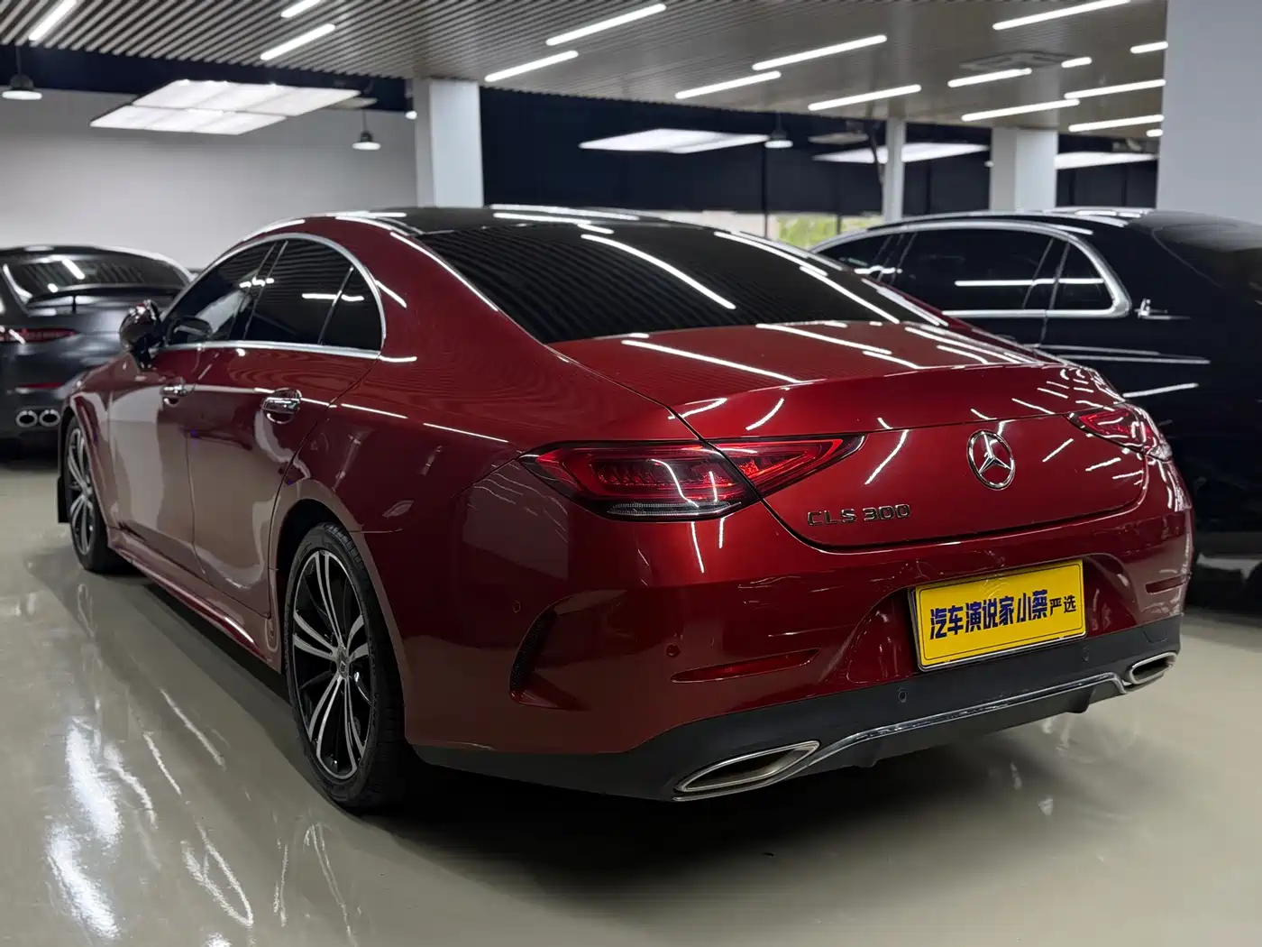 Mercedes-Benz CLS 2018 CLS 300 Luxury фото 13