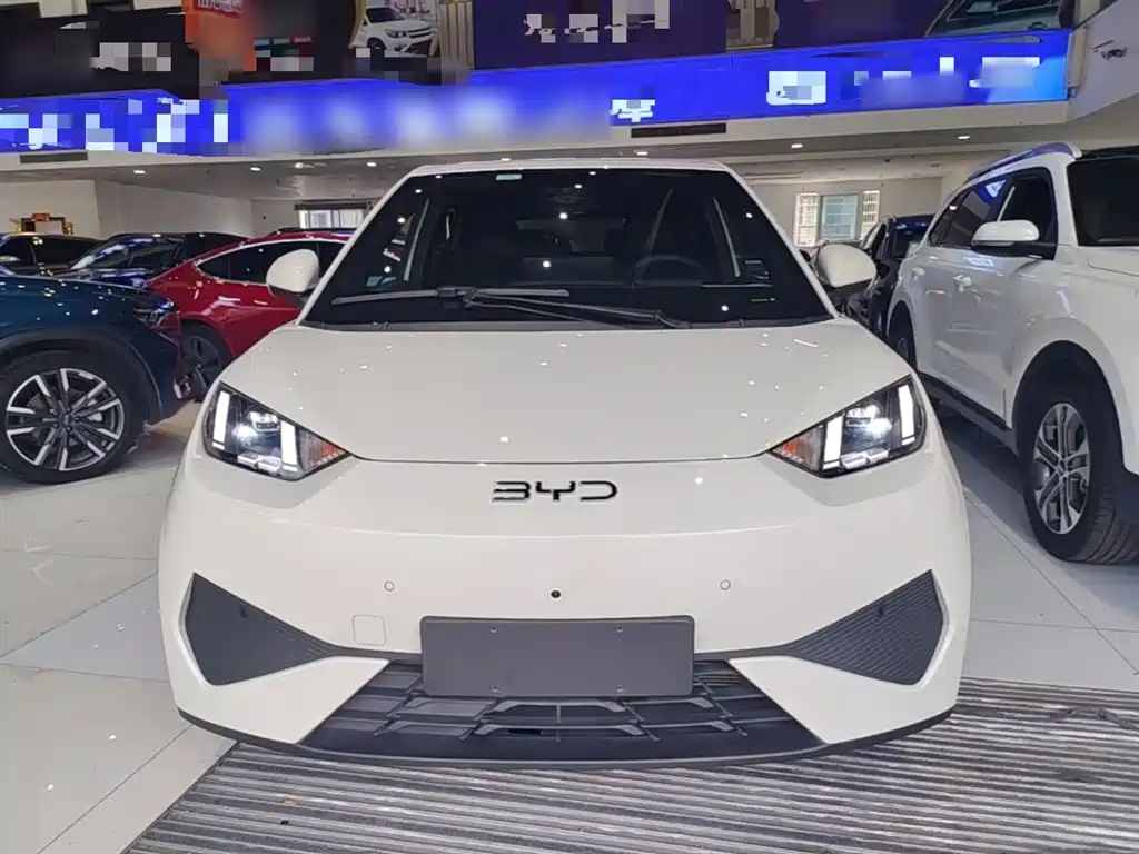 BYD Seagull 2025 Smart Drive Edition 305km Freedom Version фото 3