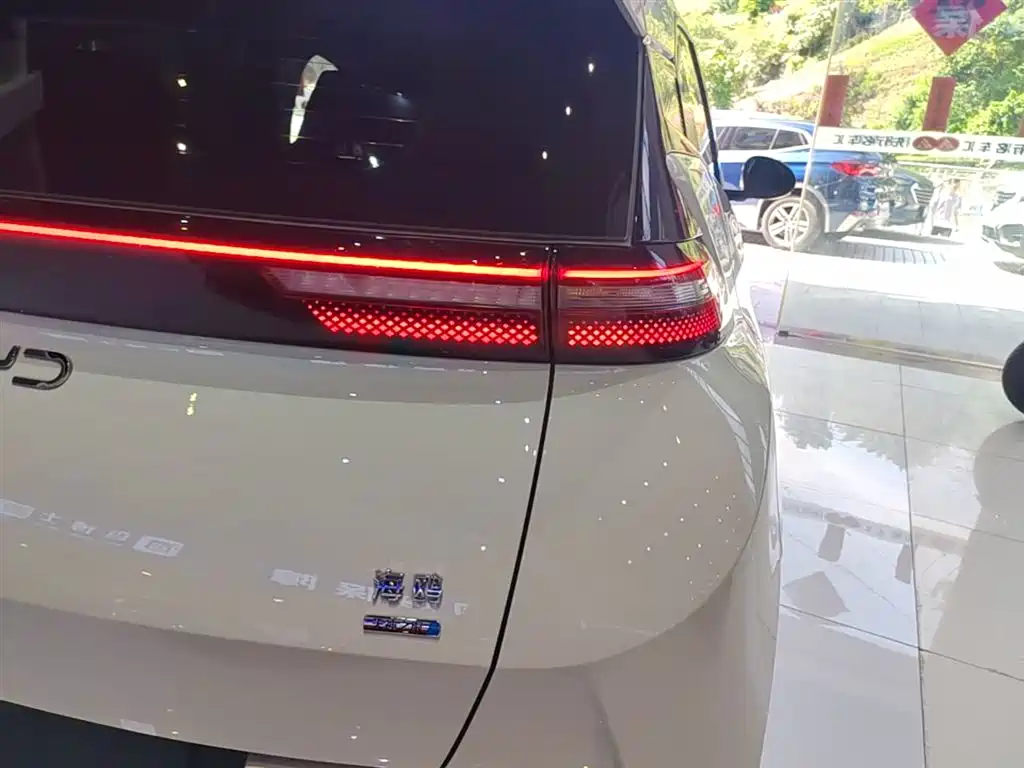 BYD Seagull 2025 Smart Drive Edition 305km Freedom Version фото 24