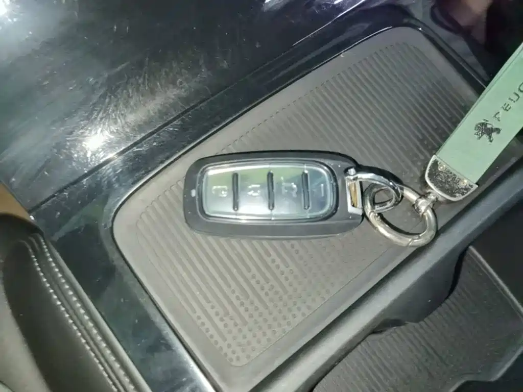 Dongfeng Aeolus SKY EV01 2024 2024 445km PRO