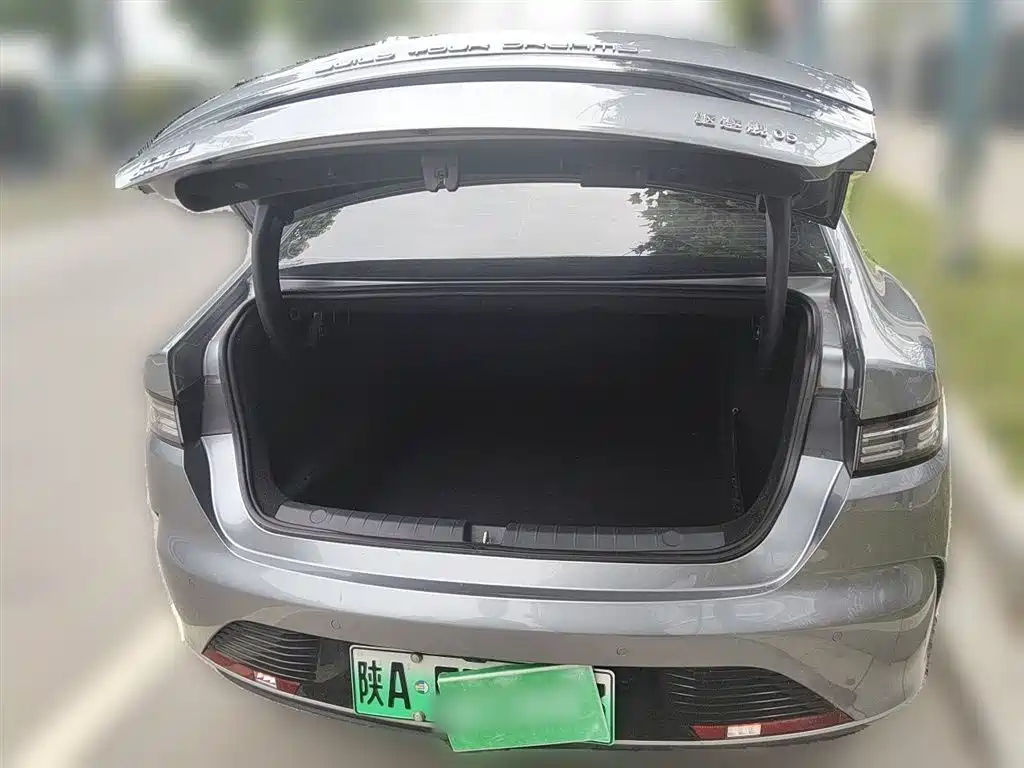 BYD Destroyer 05 2023 Champion Edition DM-i 55KM Luxury фото 16