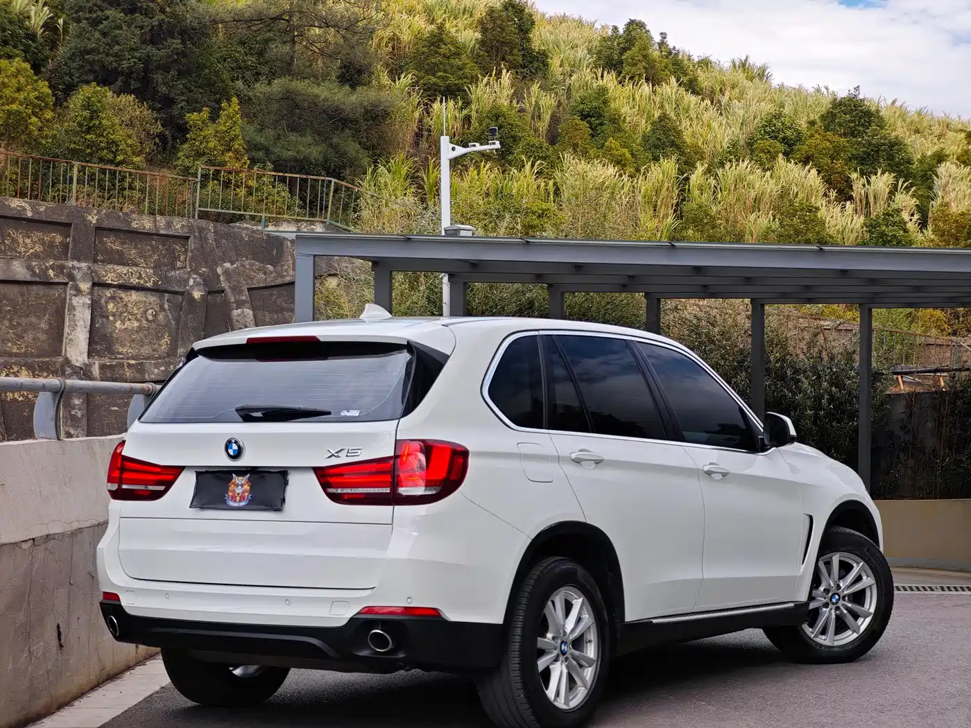 BMW X5 (Import) 2017 xDrive35i Luxury Edition фото 5