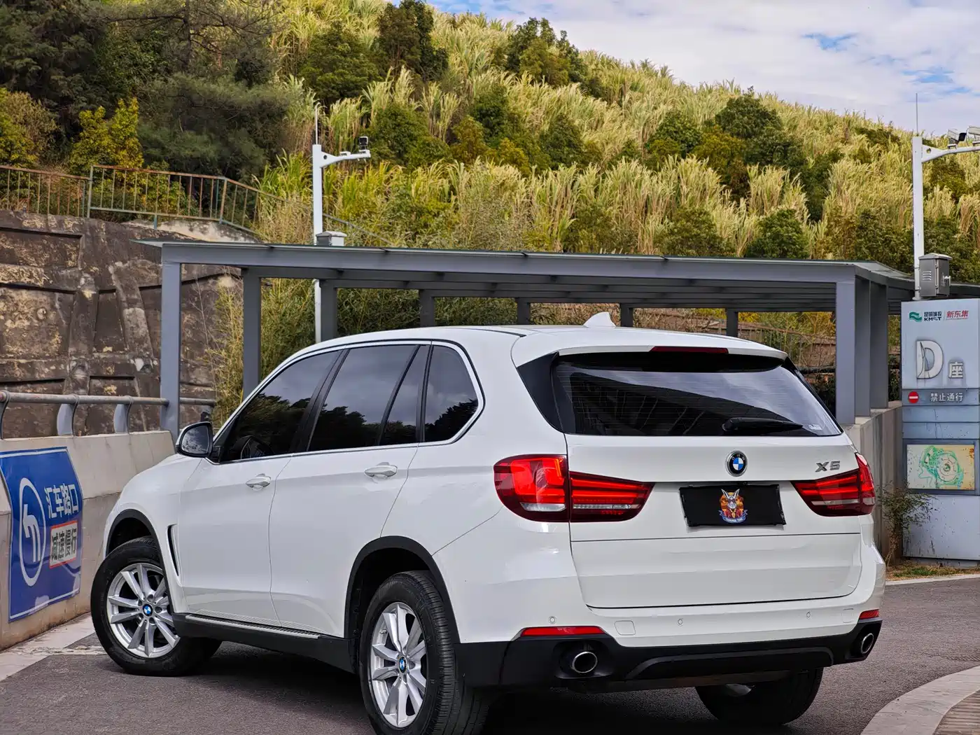 BMW X5 (Import) 2017 xDrive35i Luxury Edition фото 7