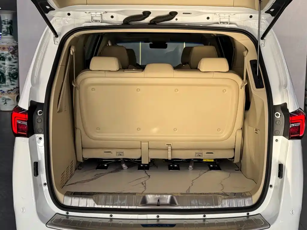 Buick GL8 2023 Land Business Class Premium фото 11
