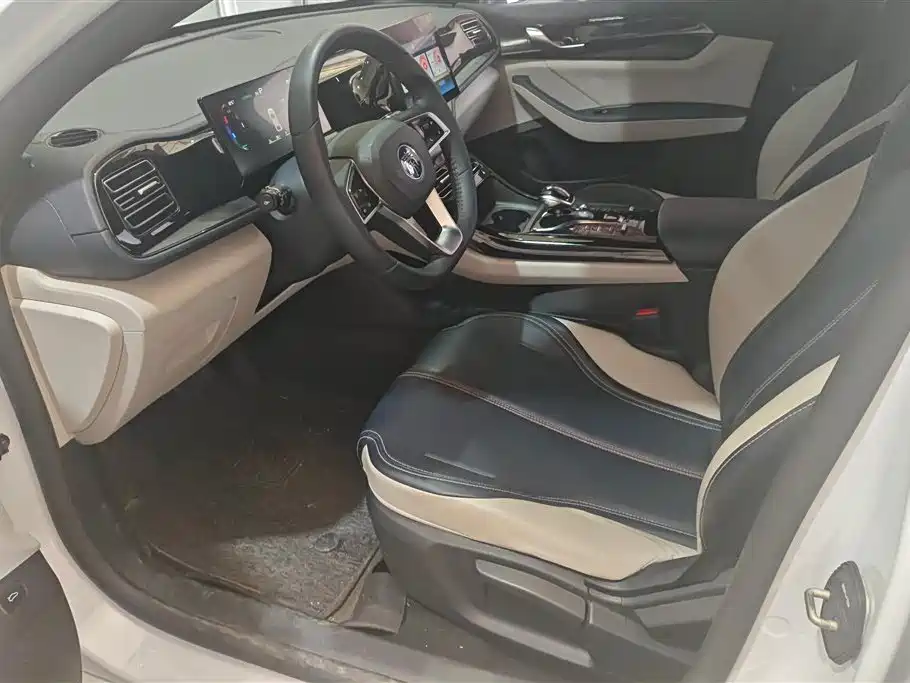 BYD Qin PLUS 2023 Champion Edition DM-i 55KM Leading фото 9