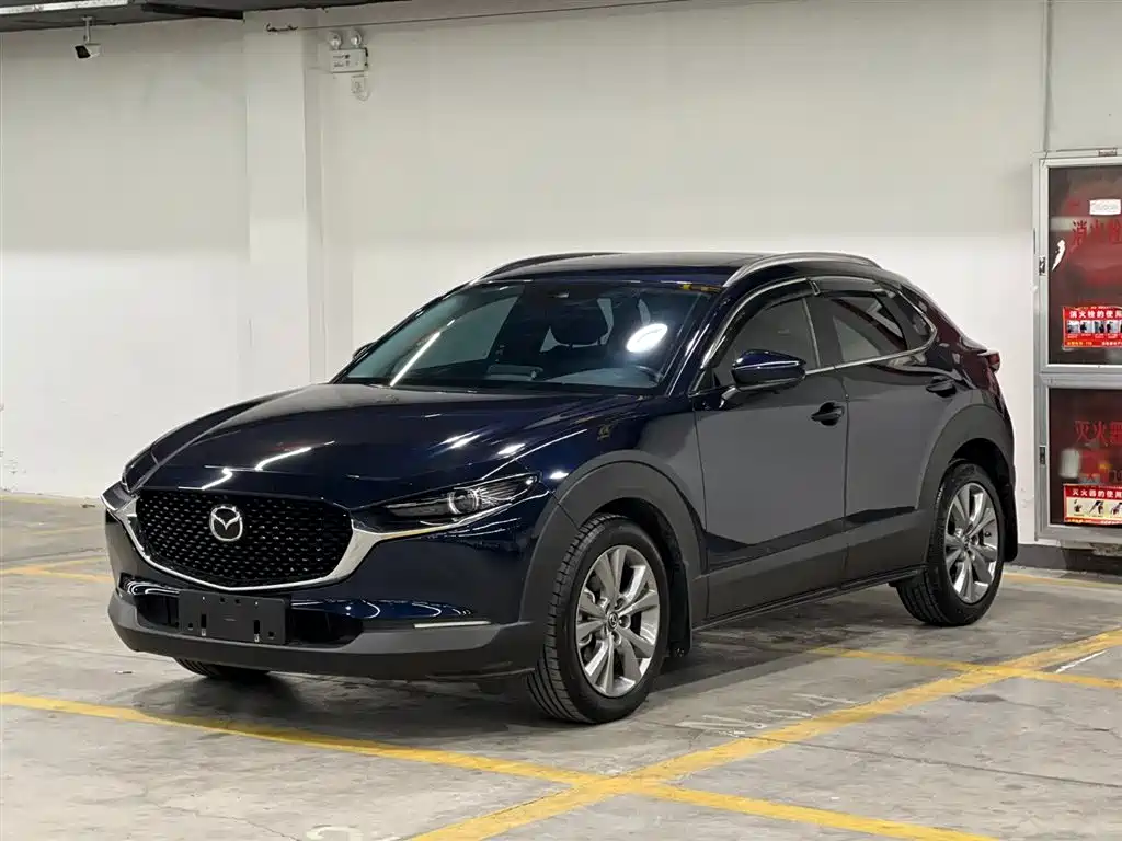  CX 30