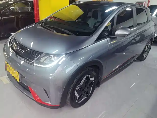 BYD Dolphin 405km, Стиль