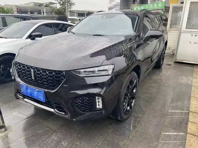 WEI PAI WEI BRAND VV7