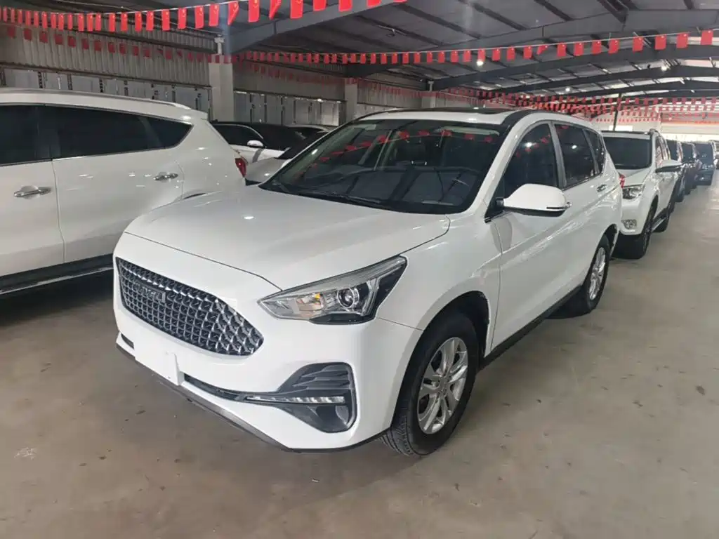 Фото 1 - Haval M6