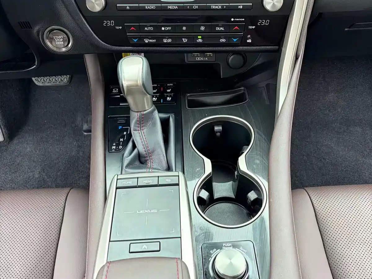 Lexus RX 2020 Facelift 300 AWD Elegance Edition фото 13