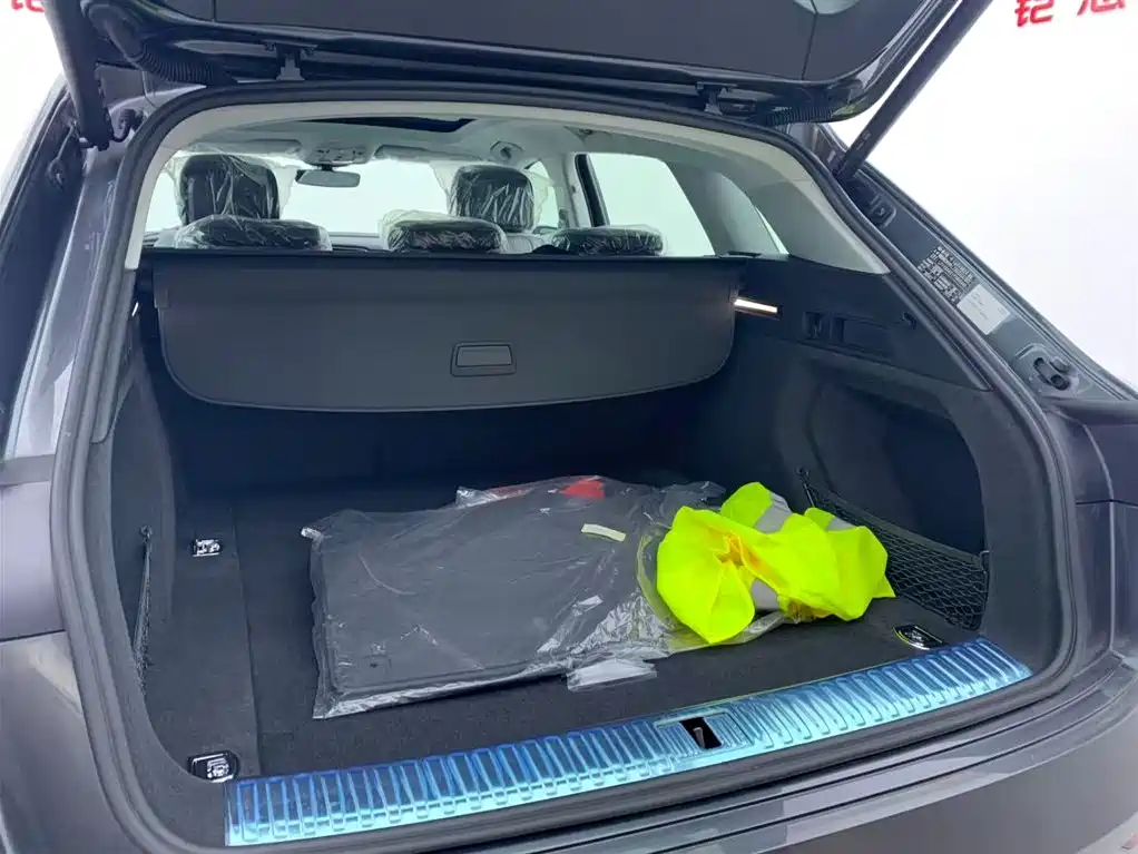 Audi e-tron 2021 50 quattro Luxury фото 10