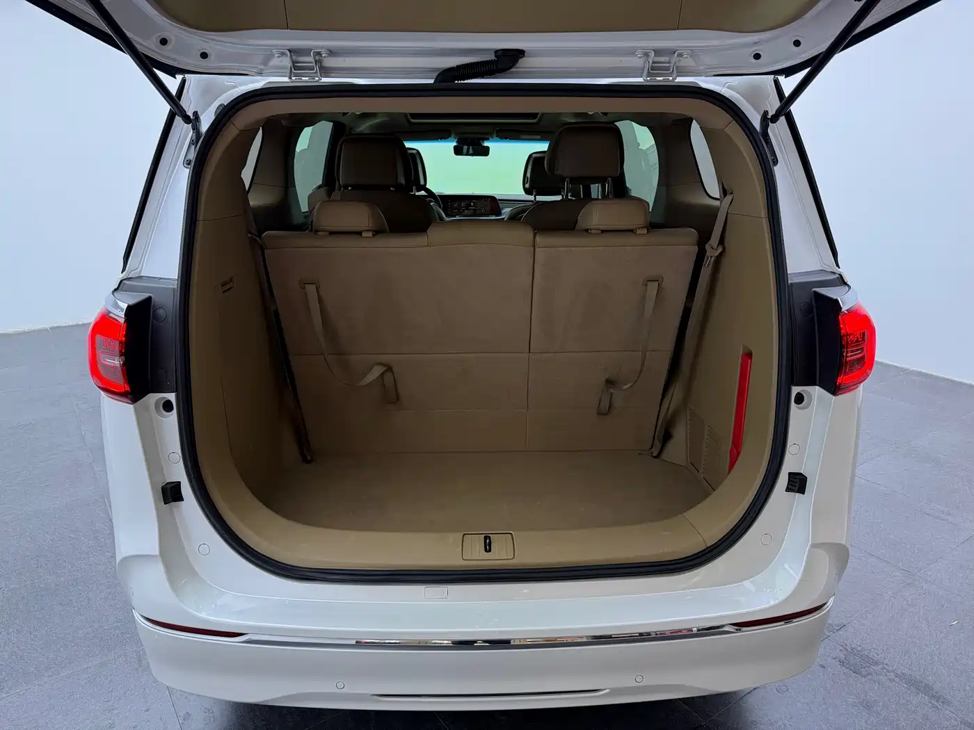 Buick GL8 2021 ES Landlord 653T Premium фото 7