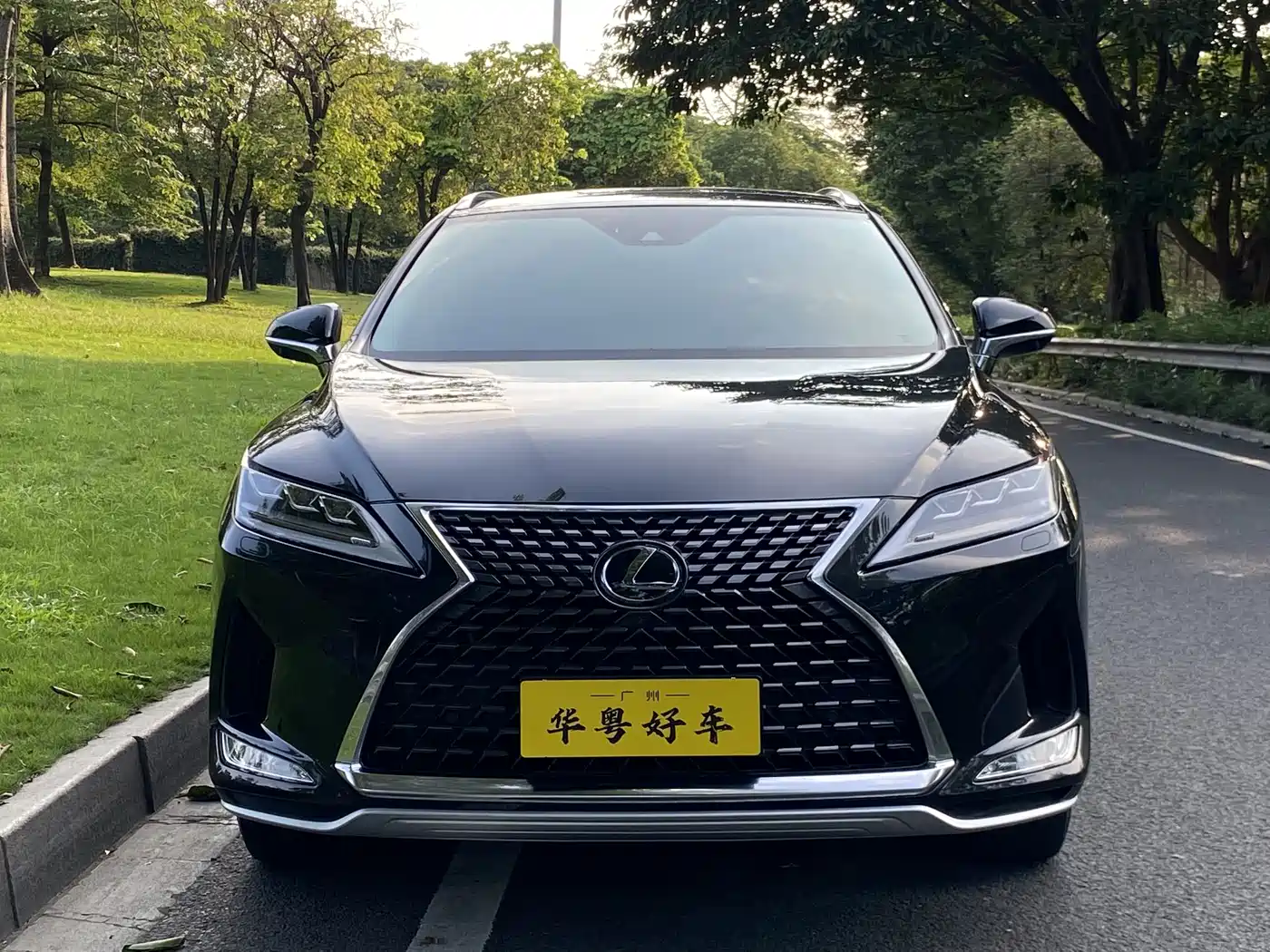 Фото 2 - Lexus RX